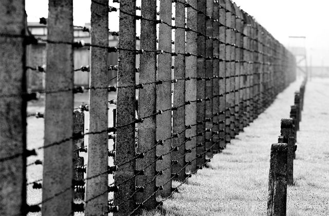 La cloture élactrique autour du camp d'Auschwitz-Birkenau